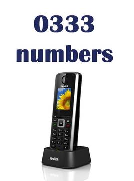 VoIP Geographic Numbers